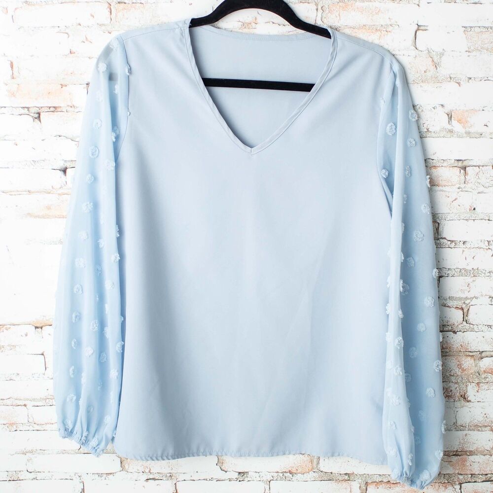 SHEIN Women's Medium Light Blue Blouse Swiss Dot Sheer Long Sleeve V Neck Top